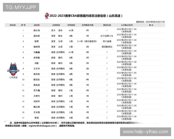 桑德兰最新赛季主力阵容分析与球员实力全解读